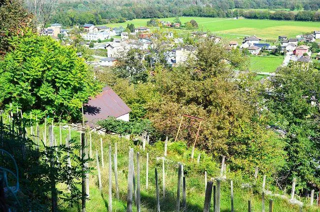 zwei Ställe zum Ausbauen mit Rebberg und viel Land / Cascina di 2 l... – photo 17 sur 30