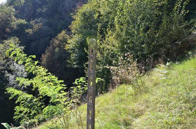 zwei Ställe zum Ausbauen mit Rebberg und viel Land / Cascina di 2 l... – photo 19 sur 30