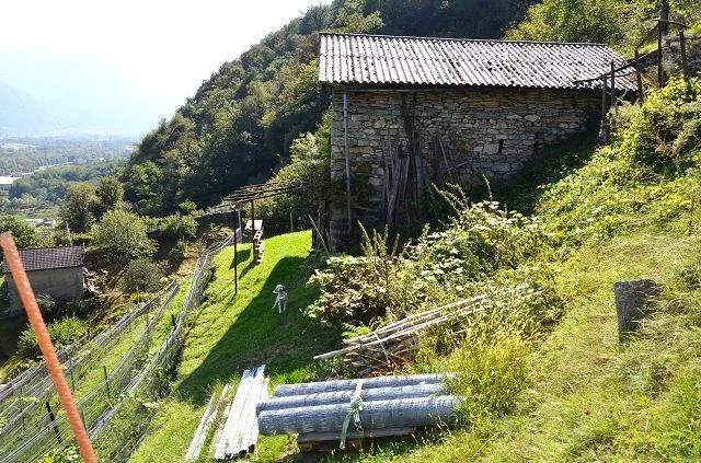 zwei Ställe zum Ausbauen mit Rebberg und viel Land / Cascina di 2 l... – photo 25 sur 30