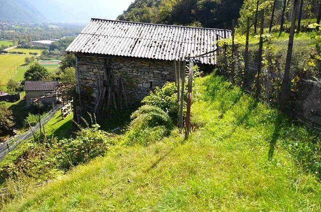 zwei Ställe zum Ausbauen mit Rebberg und viel Land / Cascina di 2 l... – photo 23 sur 30