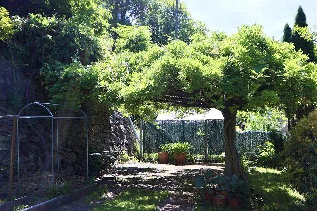 3 1/2-Zimmer-Tessinerhaus an sehr ruhiger, sonniger Aussichtslage /... – photo 24 sur 30