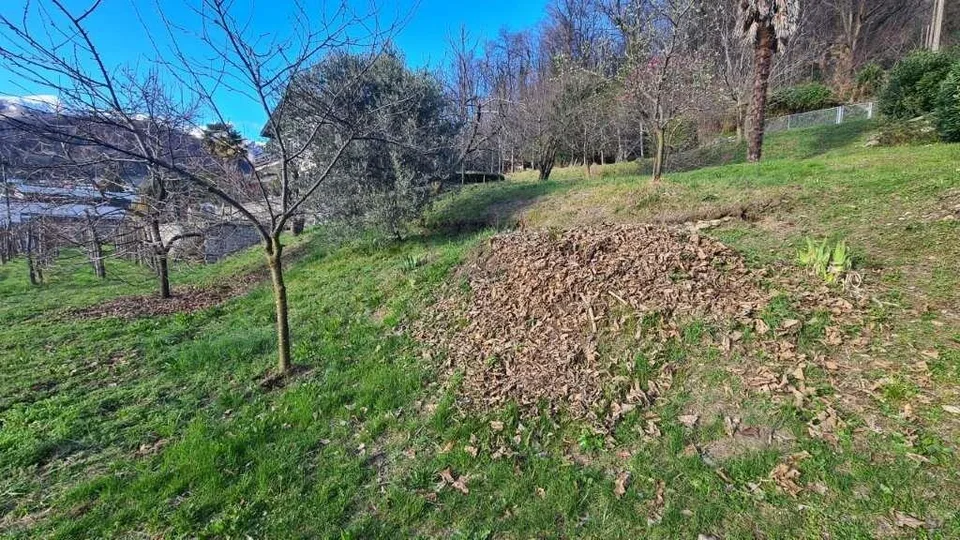 Curio: terreno edificabile in zona panoramica