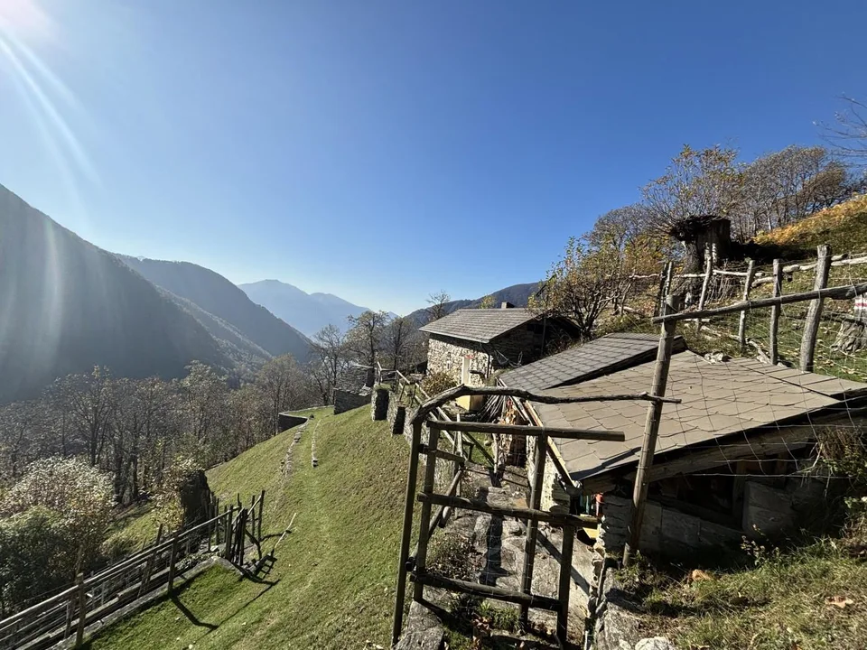 Schönes 3-Zimmer-Rustico mit einer Terrasse mit Rasen und viel Wald...