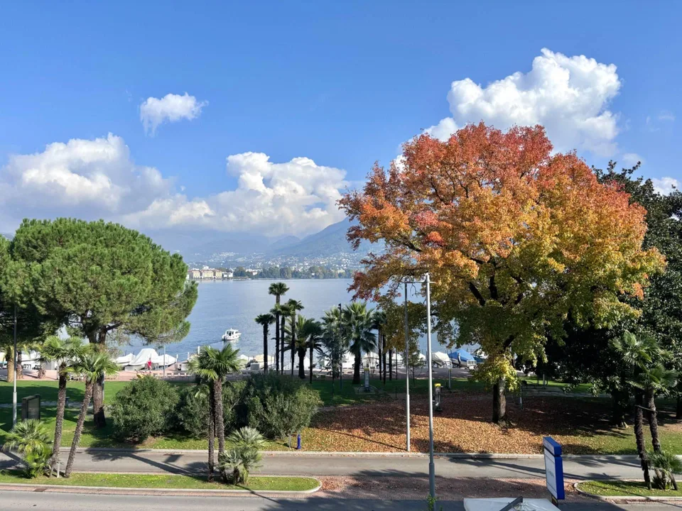 Appartamento - Paradiso