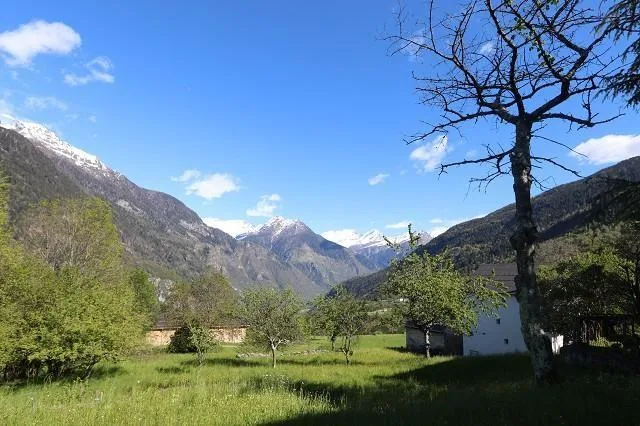 Patriziervilla mit grossem Garten und Aussicht / casa patriziale co... – Foto 6 von 30