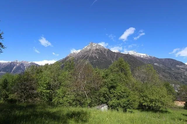 Patriziervilla mit grossem Garten und Aussicht / casa patriziale co...