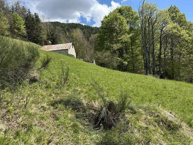 4-Zimmer Rustico zum Ausbauenmit viel Umschwung an Alleinlage, seh... – Foto 15 von 21