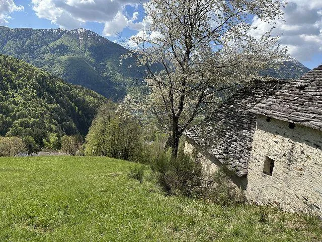 4-Zimmer Rustico zum Ausbauenmit viel Umschwung an Alleinlage, seh... – Foto 9 von 21