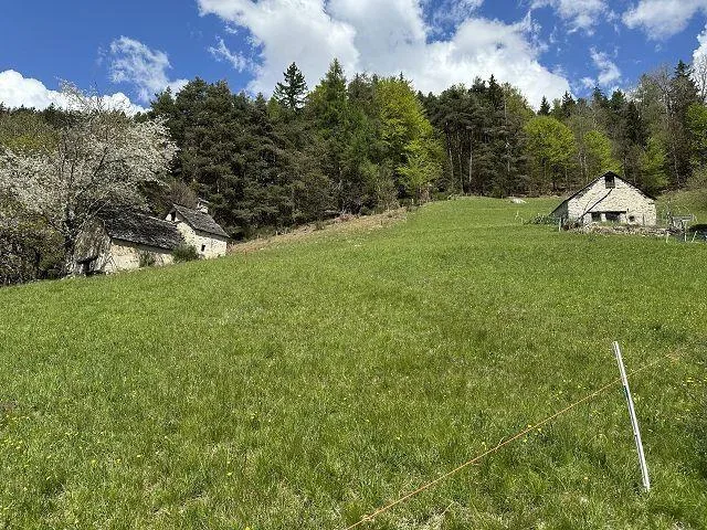 4-Zimmer Rustico zum Ausbauenmit viel Umschwung an Alleinlage, seh... – Foto 16 von 21