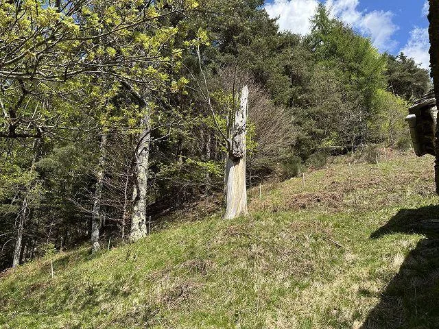 4-Zimmer Rustico zum Ausbauenmit viel Umschwung an Alleinlage, seh... – Foto 8 von 21