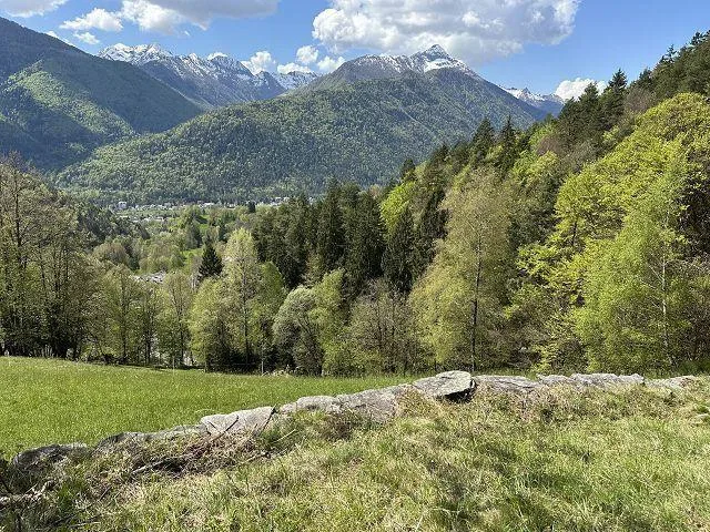 4-Zimmer Rustico zum Ausbauenmit viel Umschwung an Alleinlage, seh... – Foto 14 von 21