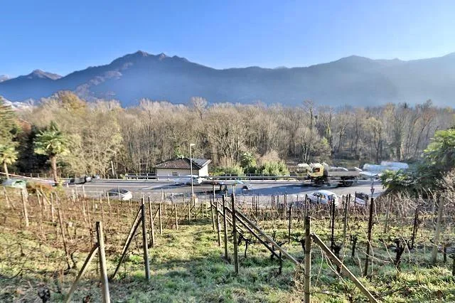 Rebberg – Foto 10 von 25