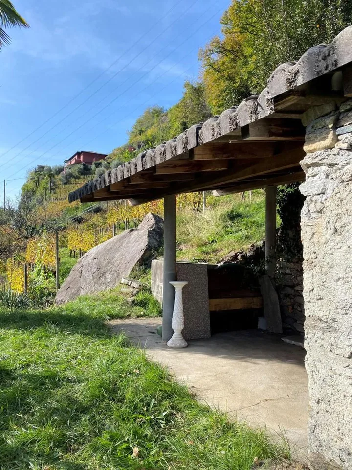 Rebberg – Foto 14 von 25