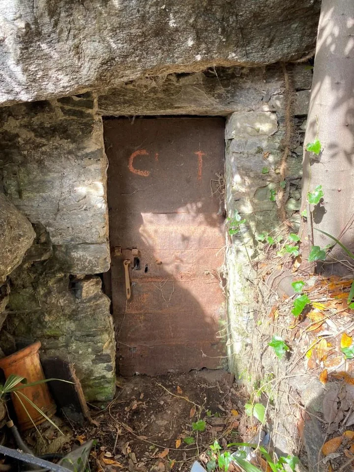 Rebberg – Foto 19 von 25