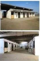 Centro ippico e azienda agricola – Foto 8 von 8