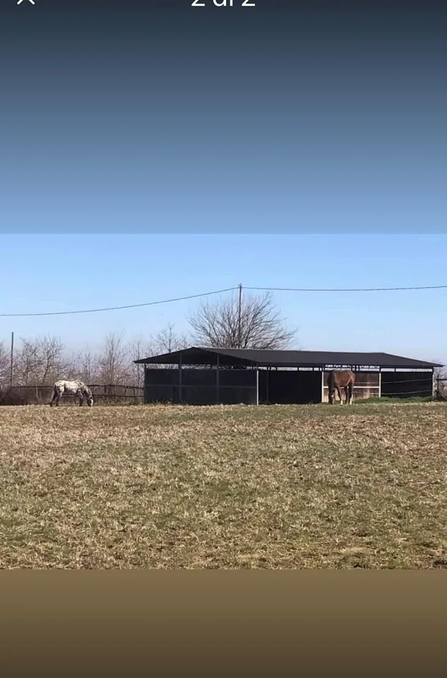 Centro ippico e azienda agricola
