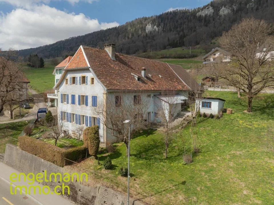Ancienne ferme de 2 appartements et nombreux espaces annexes / Ehem...