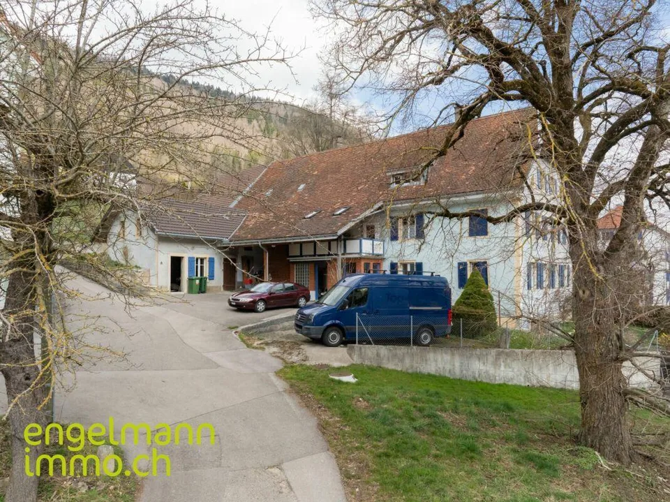Ancienne ferme de 2 appartements et nombreux espaces annexes / Ehem...