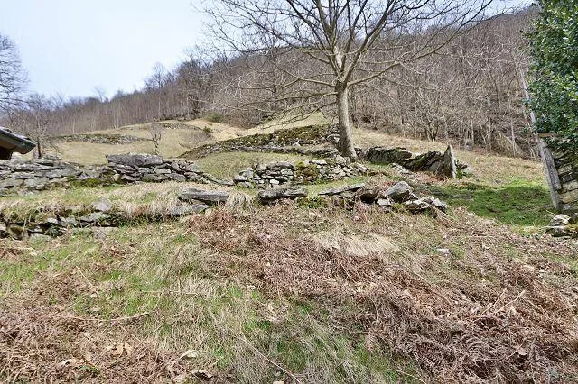 Rustico zum Ausbauen an sehr ruhiger, sonniger Aussichtslage / rust... – Foto 7 von 17