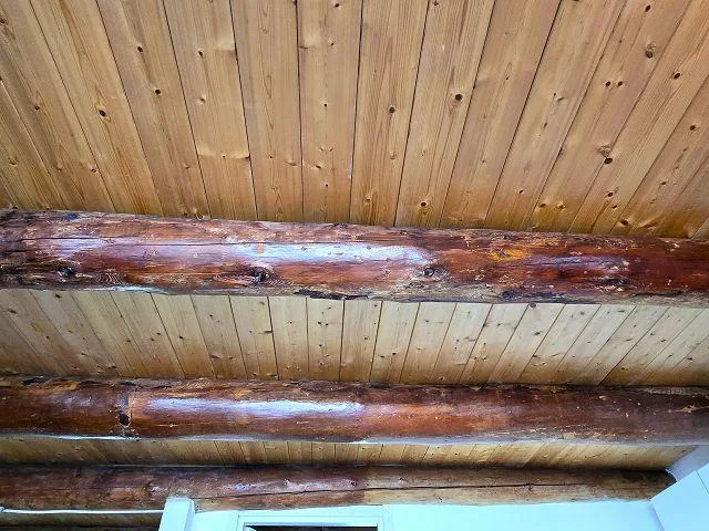 Rustico mit 2 - und 3-Zimmer-Wohnungen mit Terrassen und schöner Au... – Foto 18 von 30