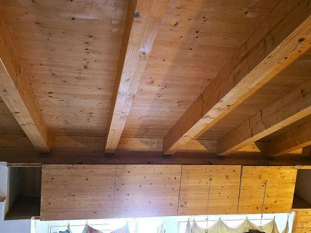 Rustico mit 2 Wohnungen (2- und 3 Zimmer mit Terrassen und schöner ... – Foto 20 von 30