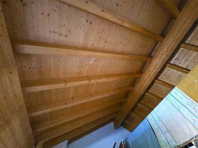 Rustico mit 2 Wohnungen (2- und 3 Zimmer mit Terrassen und schöner ... – Foto 19 von 30