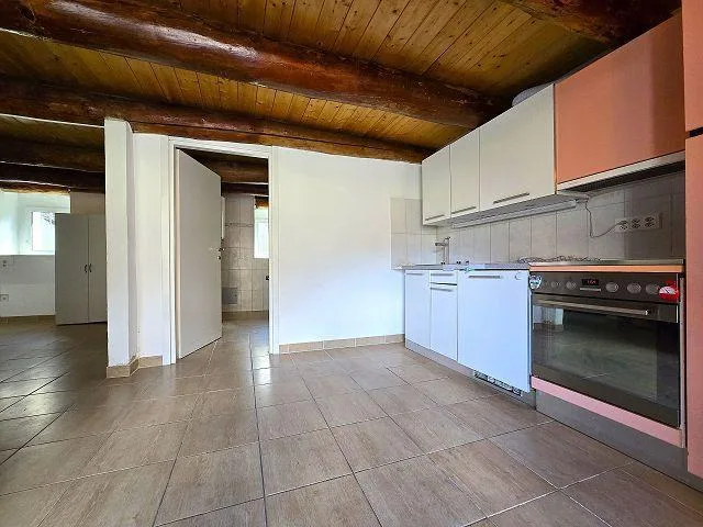 Rustico mit 2 Wohnungen (2- und 3 Zimmer mit Terrassen und schöner ... – Foto 8 von 30