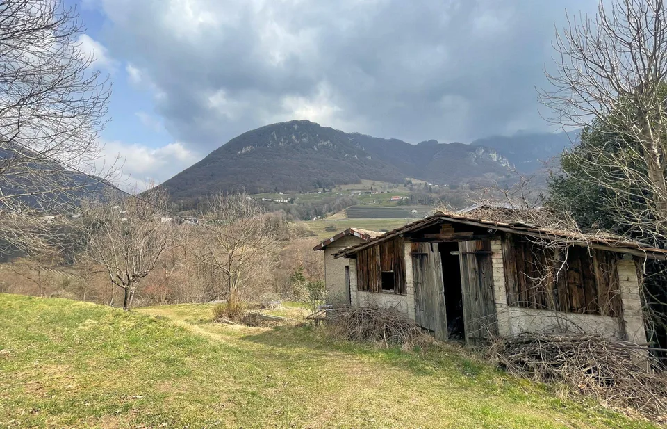 Terreno edificabile di 1300 mq immerso nella natura – Foto 6 von 11