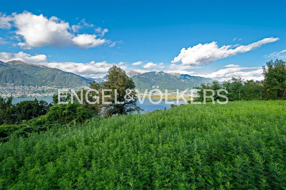 Idyllisches Grundstück mit Blick auf den Lago Maggiore (1)