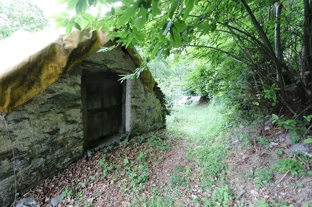 3-Zimmer-Rustico zum Ausbauen mit kl. Wiese und Wald / rustico di 3... – Foto 13 von 14