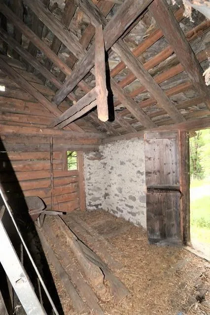 3-Zimmer-Rustico zum Ausbauen mit kl. Wiese und Wald / rustico di 3... – Foto 8 von 14