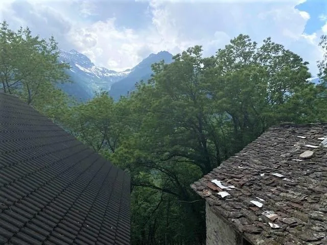 3-Zimmer-Rustico zum Ausbauen mit kl. Wiese und Wald / rustico di 3...