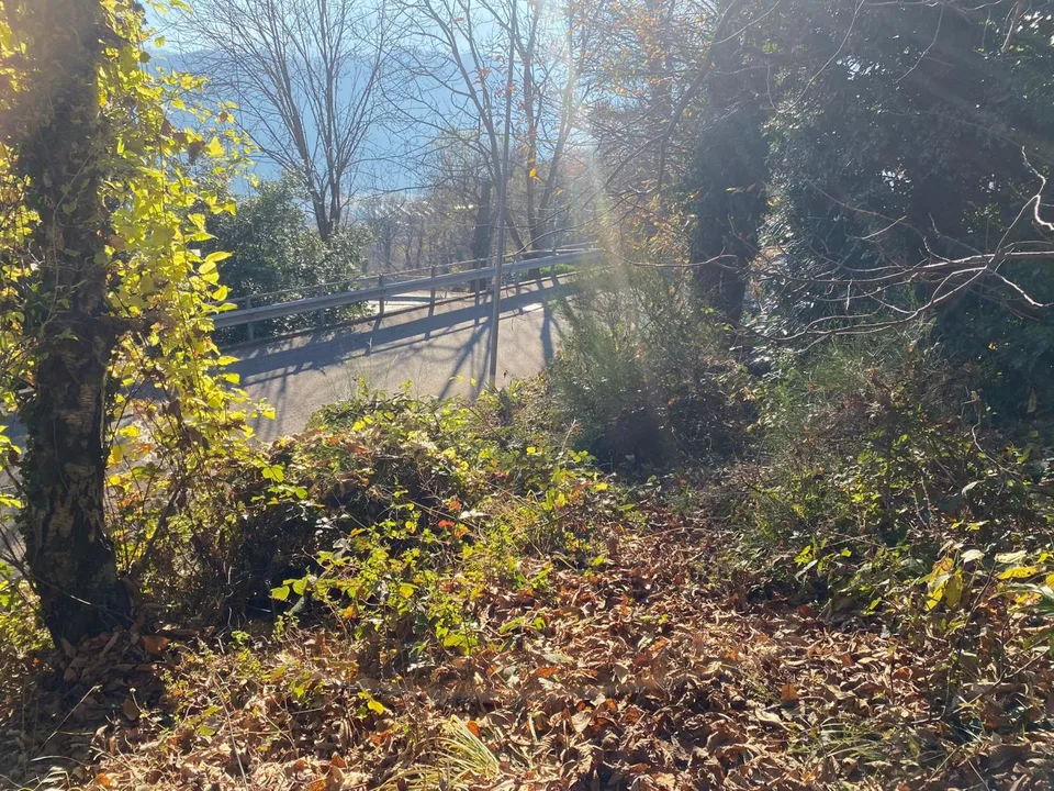 terreno edificabile 2141 m2 molto tranquilla, soleggiata con vista ... – Foto 11 von 12
