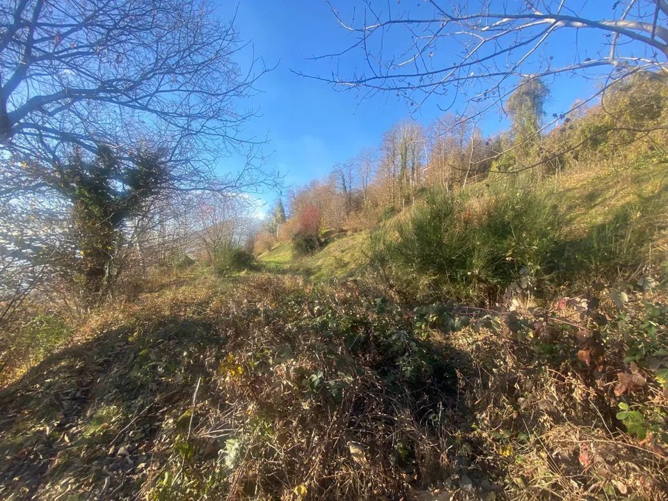 terreno edificabile 2141 m2 molto tranquilla, soleggiata con vista ... – Foto 6 von 12