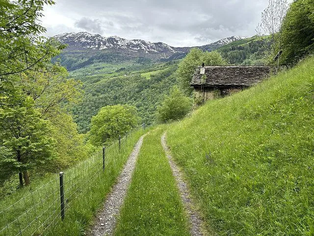 2 1/2-Zimmer-Rustico mit viel Wiesland an Alleinlage, sehr sonnig,... – photo 26 of 30