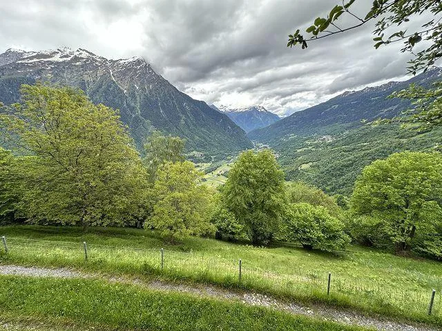 2 1/2-Zimmer-Rustico mit viel Wiesland an Alleinlage, sehr sonnig,... – photo 24 of 30