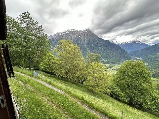 2 1/2-Zimmer-Rustico mit viel Wiesland an Alleinlage, sehr sonnig,... – photo 22 of 30