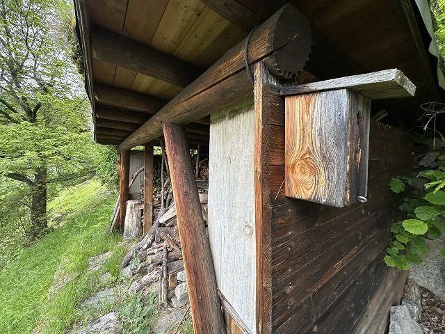 2 1/2-Zimmer-Rustico mit viel Wiesland an Alleinlage, sehr sonnig,... – photo 17 of 30