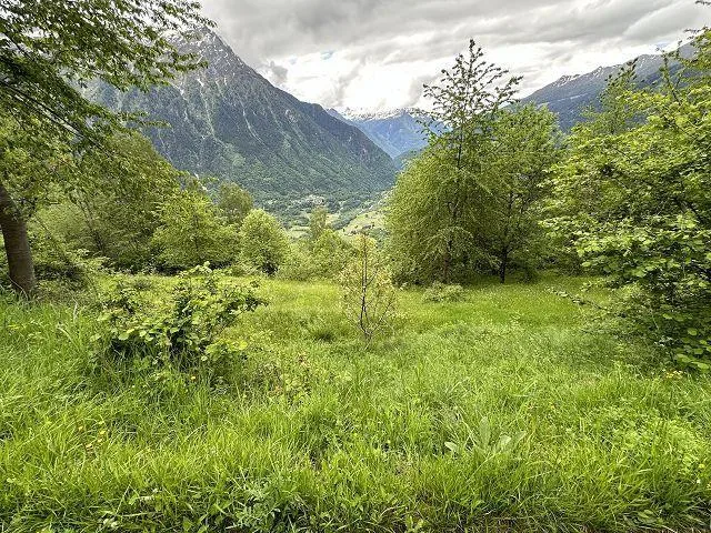 2 1/2-Zimmer-Rustico mit viel Wiesland an Alleinlage, sehr sonnig,... – photo 19 of 30