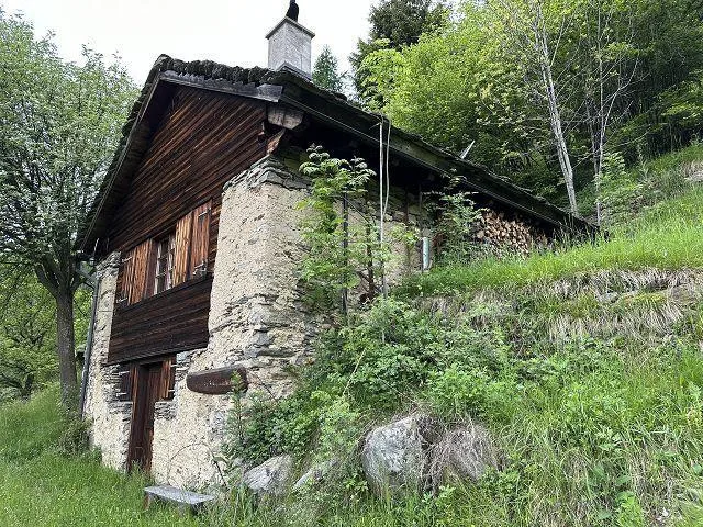 2 1/2-Zimmer-Rustico mit viel Wiesland an Alleinlage, sehr sonnig,... – photo 27 of 30