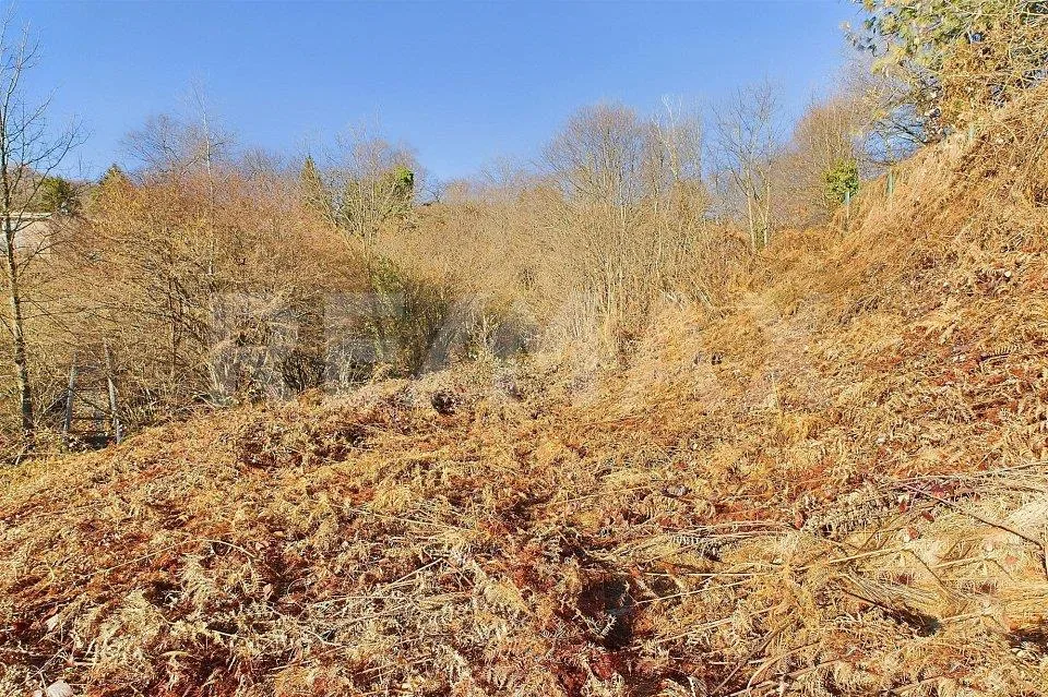 Terreno edificabile a Cademario con vista aperta – Foto 6 von 13