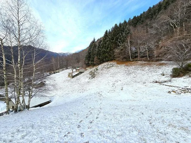 2 Rustici mit grossem Grundstück an sehr ruhiger, sonniger Aussicht... – Foto 16 von 30