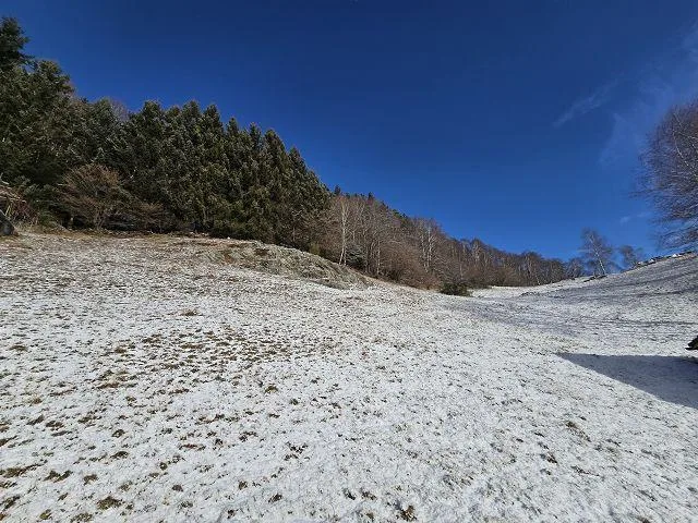 2 Rustici mit grossem Grundstück an sehr ruhiger, sonniger Aussicht... – Foto 15 von 30