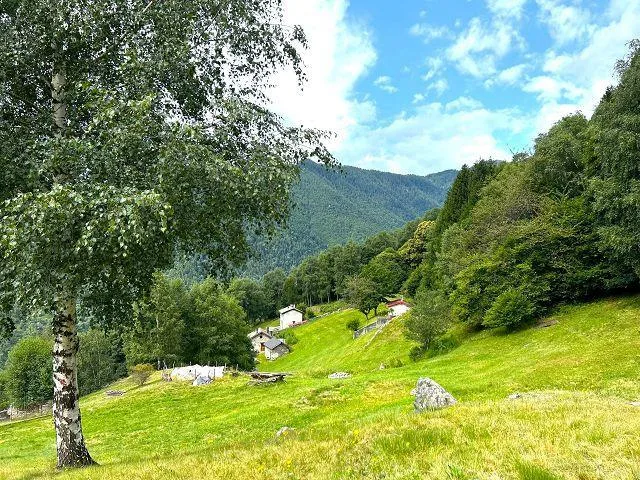 2 Rustici mit grossem Grundstück an sehr ruhiger, sonniger Aussicht... – Foto 11 von 30