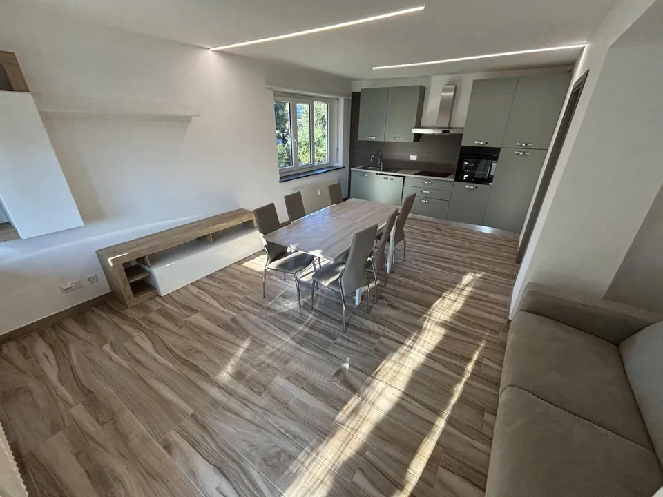 Elegante, renovierte 4-Zimmer-Wohnung in einer Doppelhaushälfte / a...