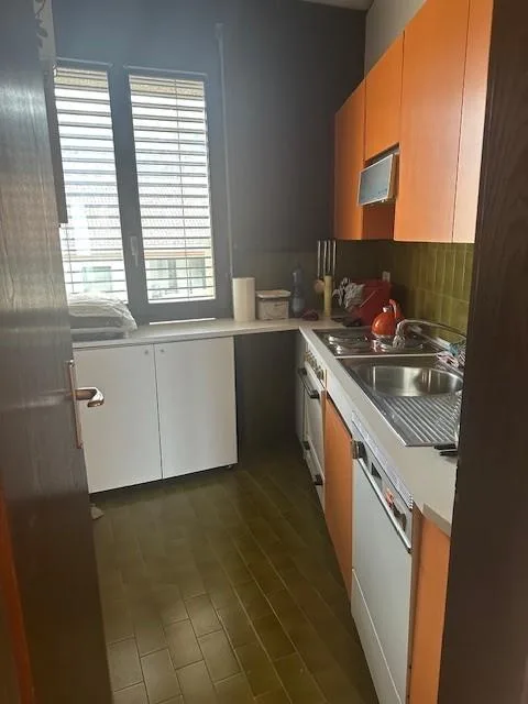 2.5 locali vista lago - Breganzona – Foto 9 von 14