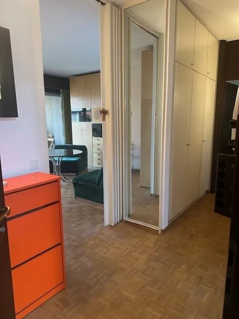 2.5 locali  vista lago  - Breganzona