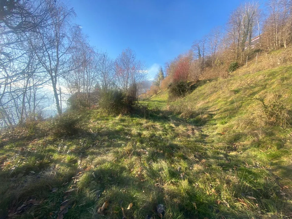 terreno di 1344 m2 edificabile ca. 900 m2. molto tranquilla, solegg... – Foto 7 von 10