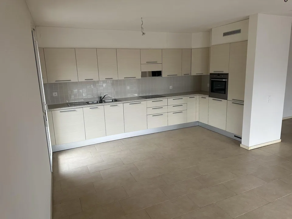 NUOVO PREZZO - AMPIO 4,5 LOC. A CHIASSO – ID 23606