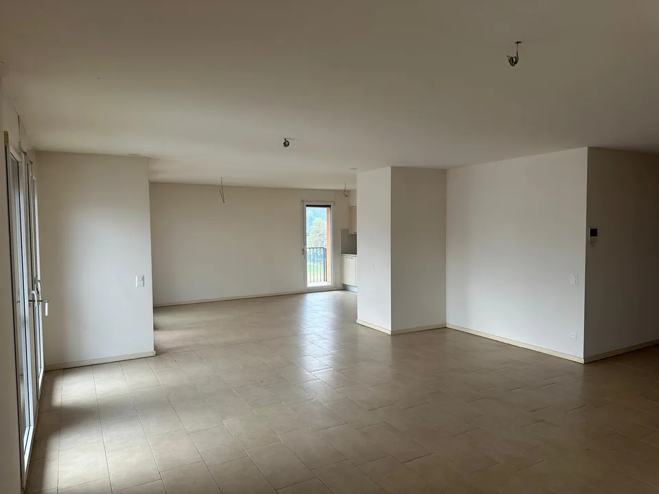 NUOVO PREZZO - AMPIO 4,5 LOC. A CHIASSO – ID 23606